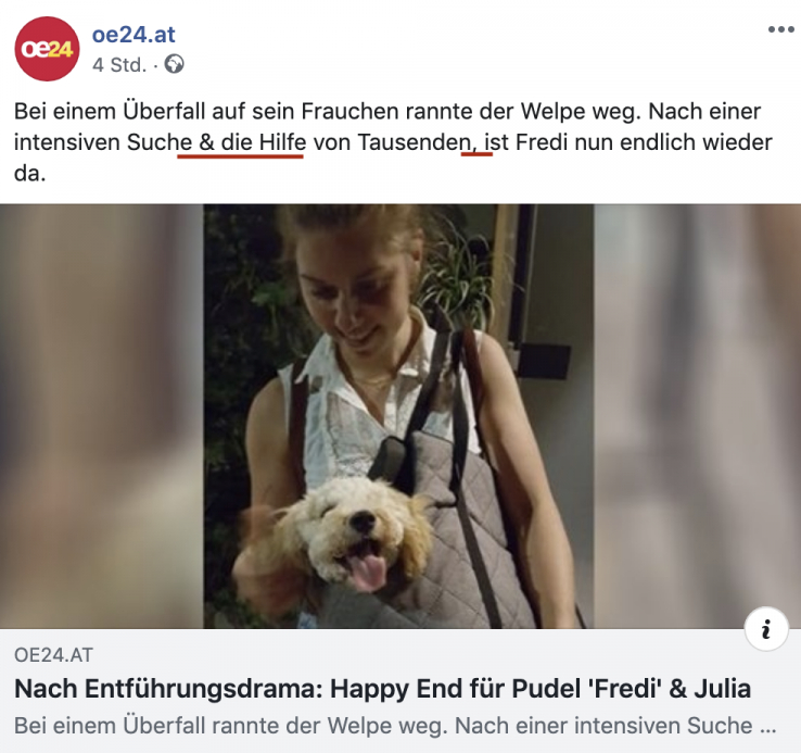 Die Grammatik ist ein Hund und Beistriche sind für die Katz