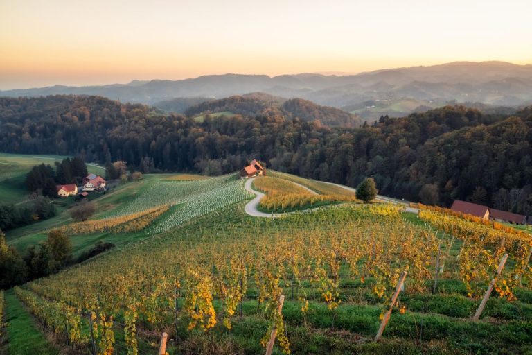 Wein in der Steiermark genießen